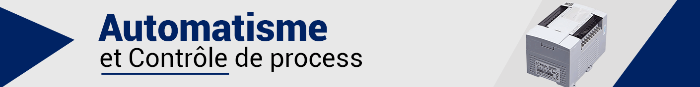 Automatisme et Contrôle de process